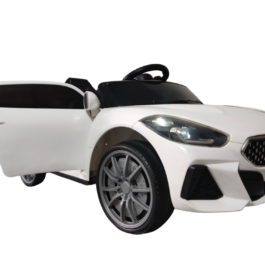BWM CAR Z4