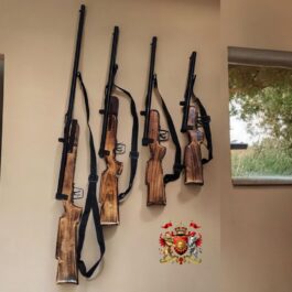 2.DISPLAY GUN MODEL PRODUCTS