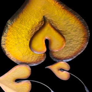 4.BIG SIZE WALL METAL DECOR