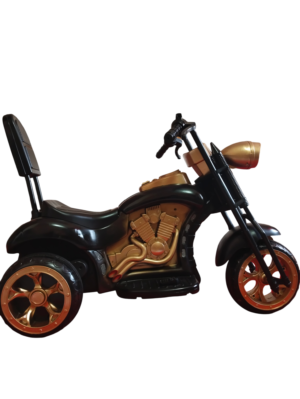 A ROYAL VINTAGE BIKE