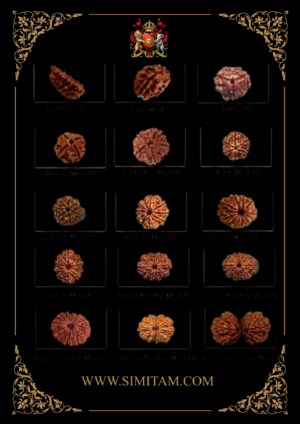 Rudraksha collection