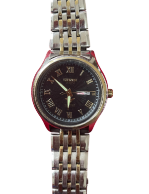 Citizen watches